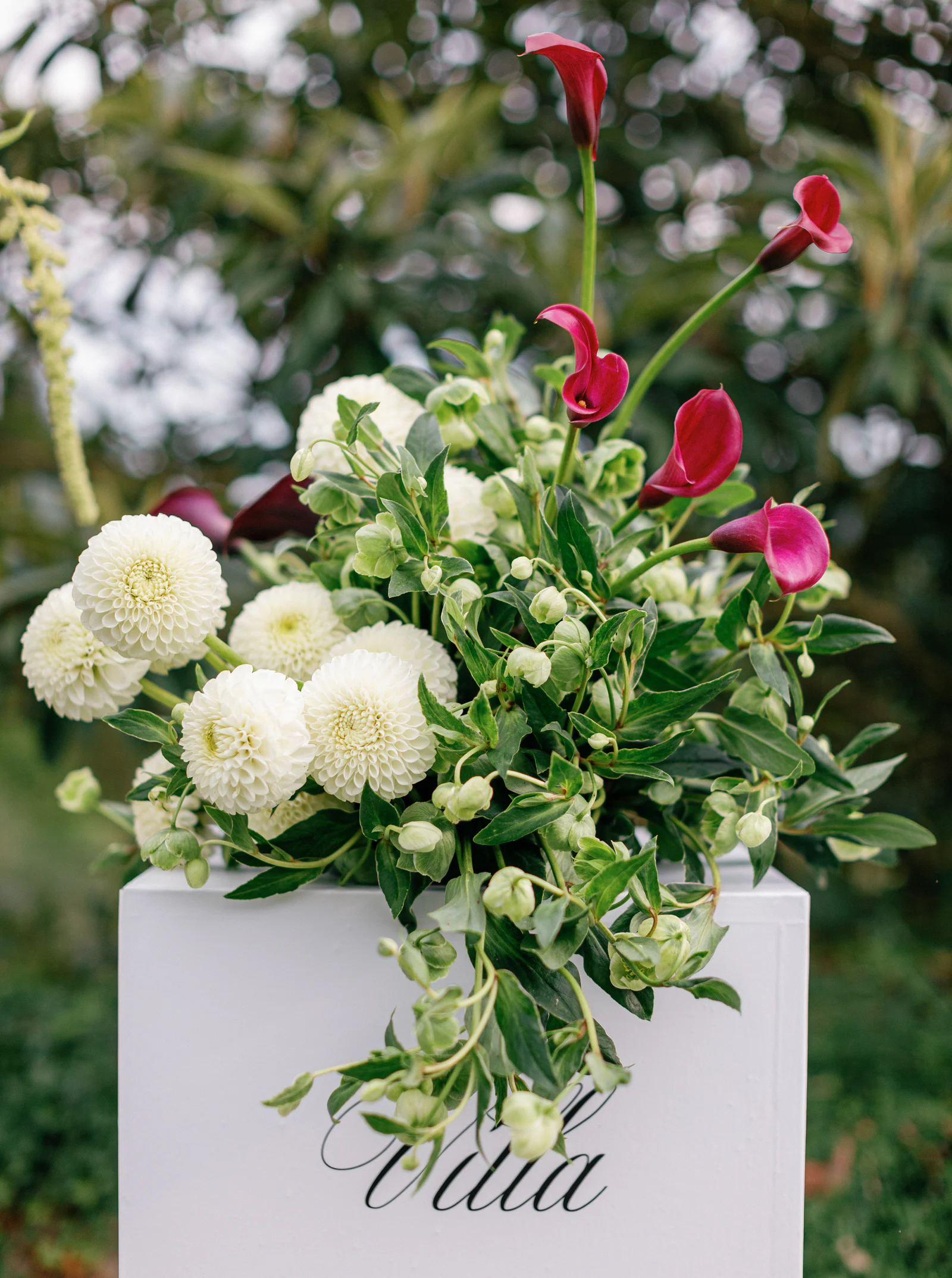 White garden roses and crimson blooms on a white plinth marked "Villa" at Borgo Stomennano, Tuscany