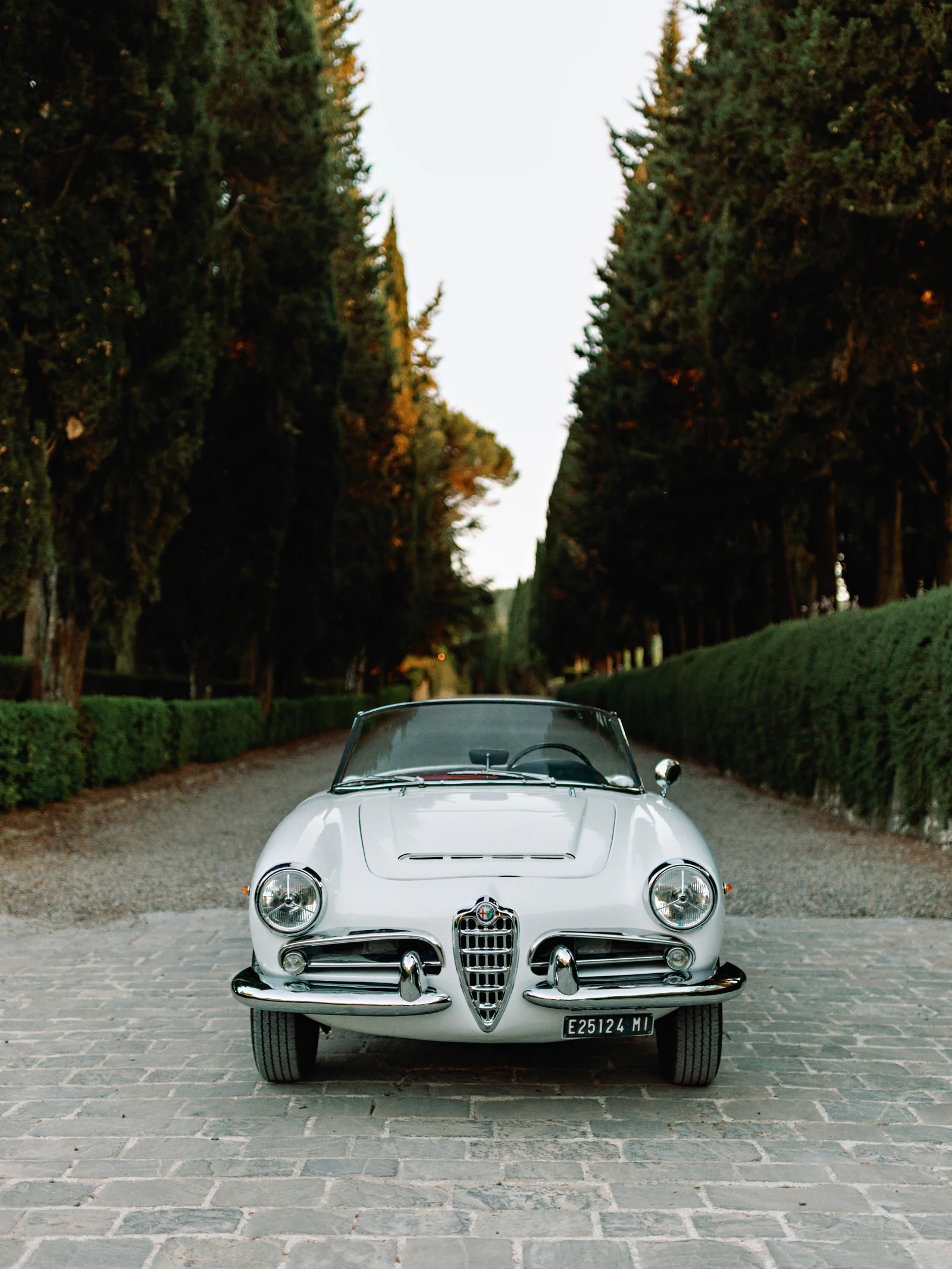 Vintage Alfa Romeo on the cypress avenue of Castiglion del Bosco, A Rosewood Hotel, at dusk, Val d'Orcia, Tuscany